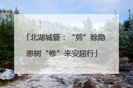 北湖城管：“剪”除隐患树“修”来安居行